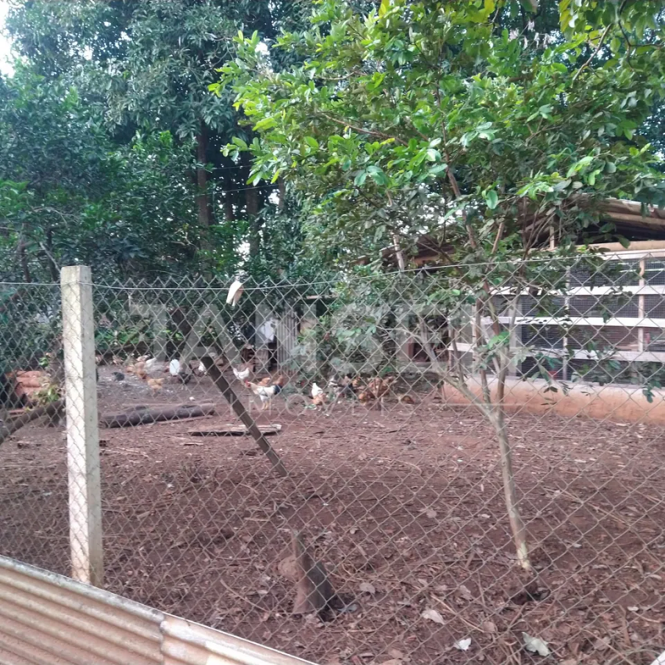 Chácara centro Jataizinho PR - foto 6 de 17