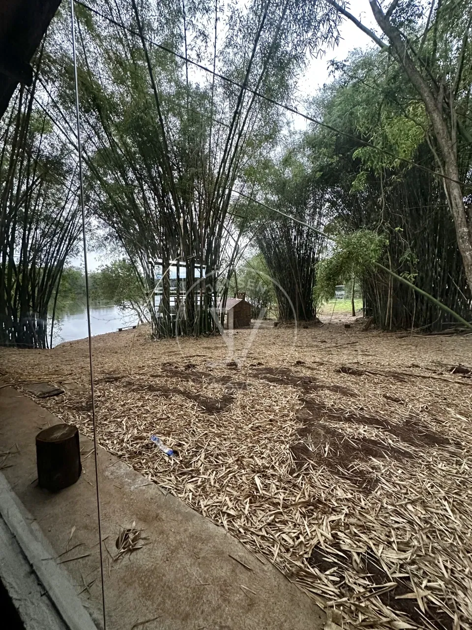 Chácara Com Fundo Para Rio Tibagi - foto 12 de 20