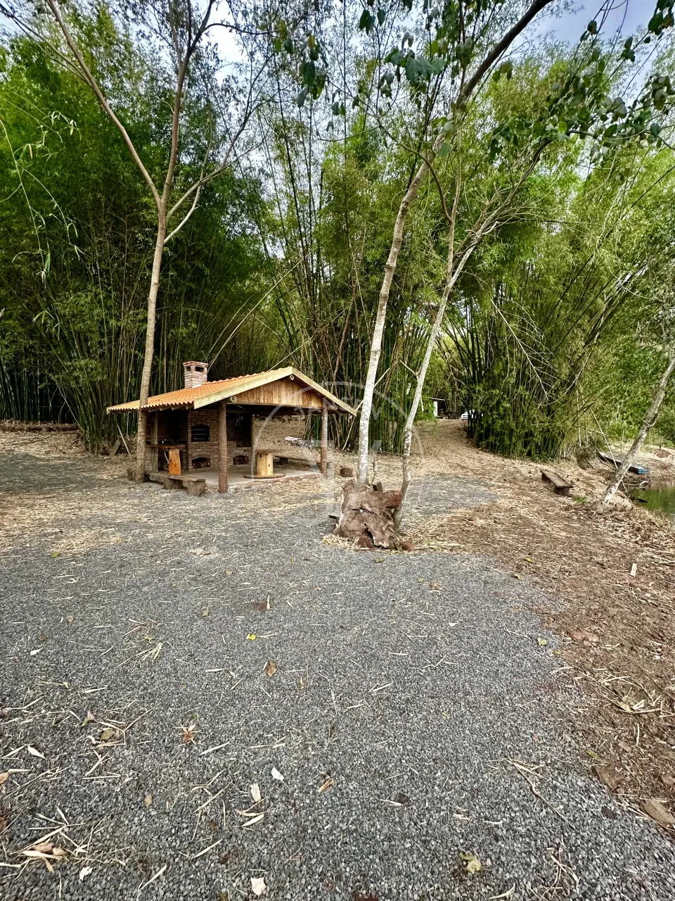 Chácara Com Fundo Para Rio Tibagi - foto 16 de 20