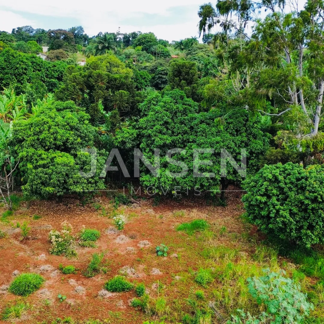 Terreno à Venda Marajoara Ibiporã - foto 4 de 11